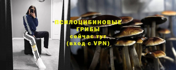 MDMA Богородск