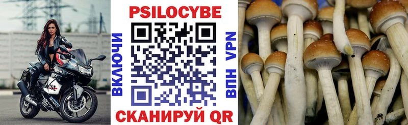 Купить закладки Искитим Псилоцибиновые грибы ЛСД